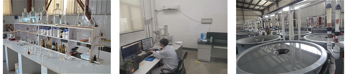 鄭州市海旭磨料有限公司